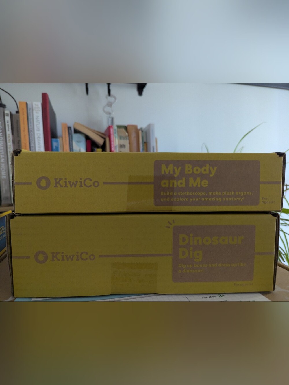 Two Kiwico Kids STEAM Activity Sets New In Box - My Body and Dinosaur Dig